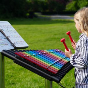 Cavatina og musikkbok, Xlyofon