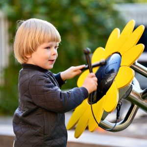Petal Drum, solsikke
